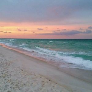 Meet your Posher, Bailey